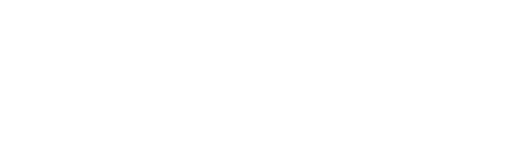 kleverSafe logo